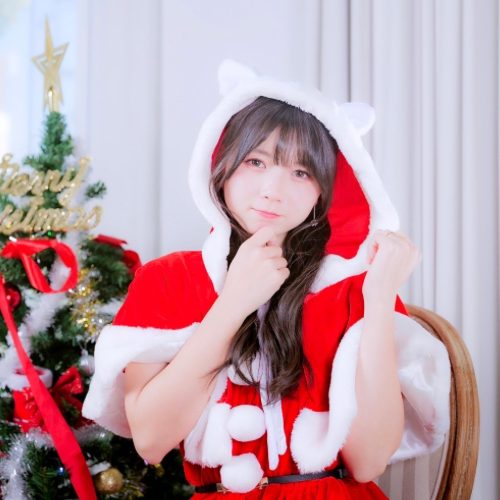 モデル：