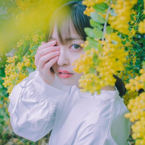 モデル：