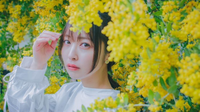 3月22日(日)ミモザシャワーと山田池の春