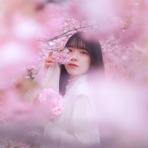 モデル：