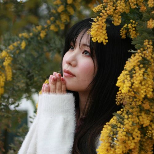 モデル：