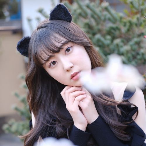 モデル：