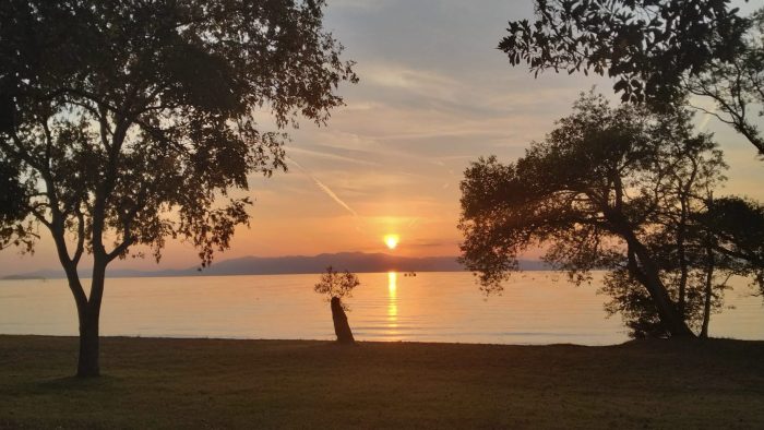 8月3日(日) 琵琶湖ブルーと夏の煌めき @湖岸緑地・田村