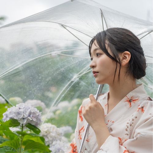モデル：