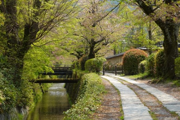 10月12日(日) 秋の香りと京都お写んぽ道@哲学の道