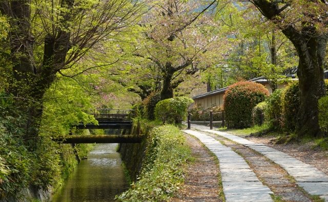 10月12日(日) 秋の香りと京都お写んぽ道@哲学の道