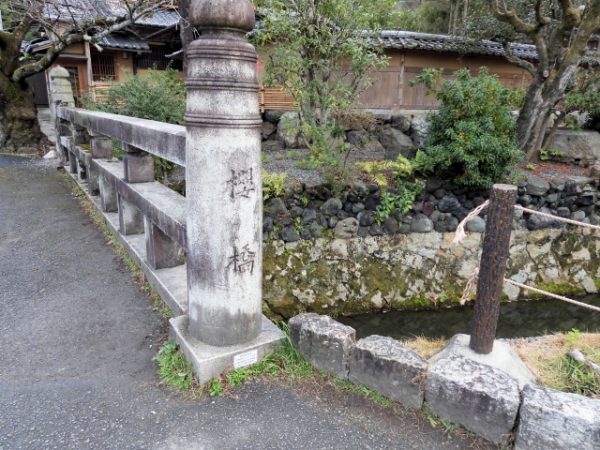 10月12日(日) 秋の香りと京都お写んぽ道@哲学の道 - 画像 (2)