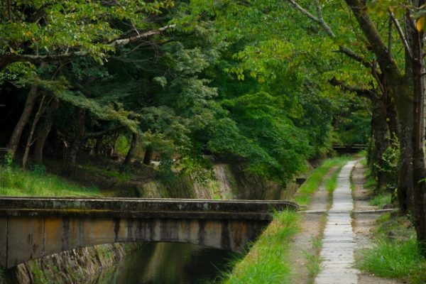 10月12日(日) 秋の香りと京都お写んぽ道@哲学の道 - 画像 (3)
