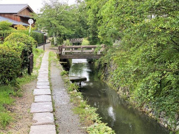 10月12日(日) 秋の香りと京都お写んぽ道@哲学の道 - 画像 (7)
