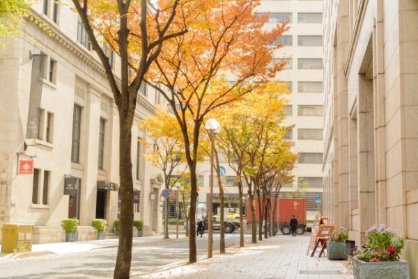 11月8日(土) 旧居留地トワイライト・シークエンス - 画像 (4)
