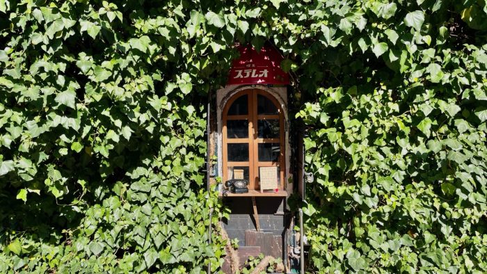 2月23日(祝月)petit mana~レトロ喫茶~