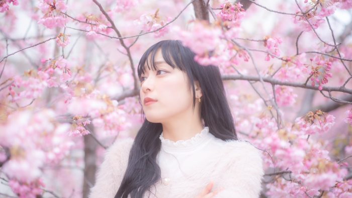 3月15日(日) 春爛漫🌸淀の河津桜